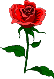 flor.gif (6904 bytes)